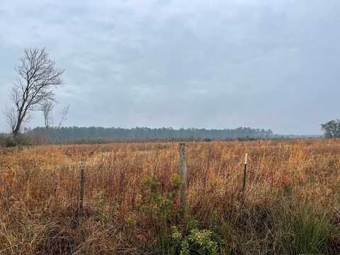 00 Carl Cravey Rd - Lots 1,2,3, Hazlehurst, GA 31539