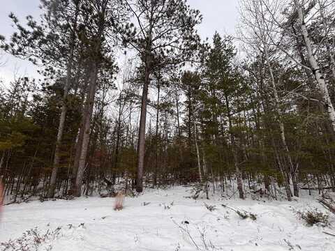 Lot 241 Kauffman Road, Presque Isle, MI 49777