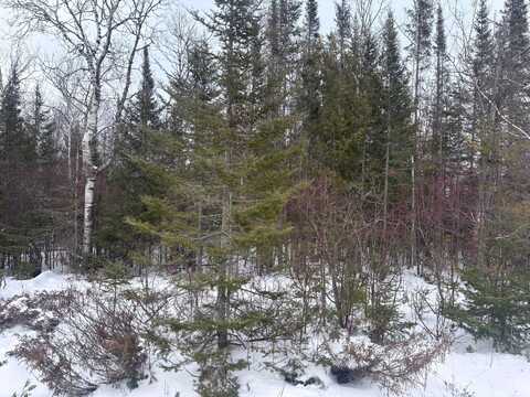 Lot 338 County Rd. 638, Presque Isle, MI 49777