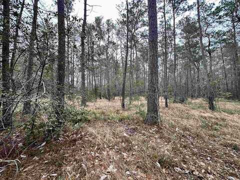 9115 GRIZZLY DRIVE, Kountze, TX 77625