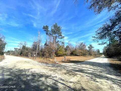 Lot 1 Whitetail Drive, Marianna, FL 32448