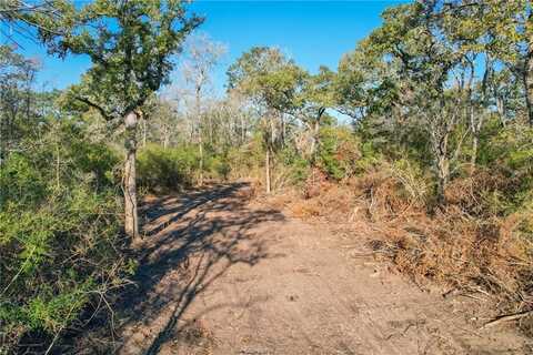 Tract 3 Jones Road, College Station, TX 77845