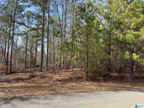 WRIGHT WAY DRIVE, WEDOWEE, AL 36278