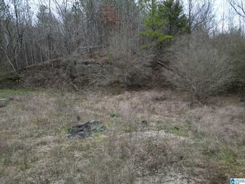 601 EASTWOOD DRIVE, WARRIOR, AL 35180