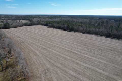 36.19 Acres-TBD Big Woods Rd., Kingstree, SC 29556