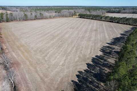 30 Acres-TBD Big Woods Rd., Kingstree, SC 29556