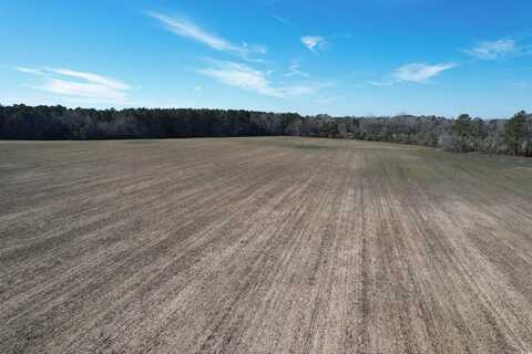 80.86 Acres-TBD Cedar Swamp Rd., Kingstree, SC 29556