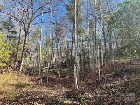 99999 Locust Knoll Lane, Hendersonville, NC 28792