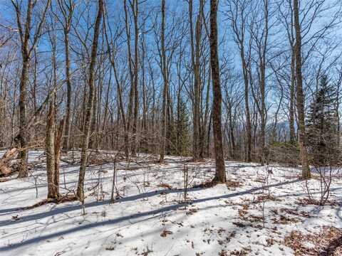 99999 Spruce Patch Lane, Sylva, NC 28779