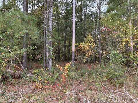 Midway Road lot: 1, Maxton, NC 28364