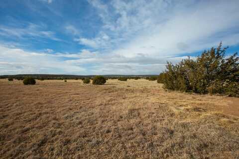 0 Edgewood, Edgewood, NM 87015