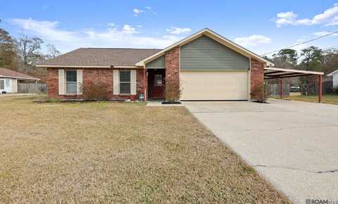 29160 Peggy Dr, Walker, LA 70785