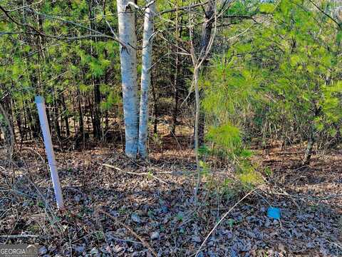 Lot 14 Valley, East Ellijay, GA 30540