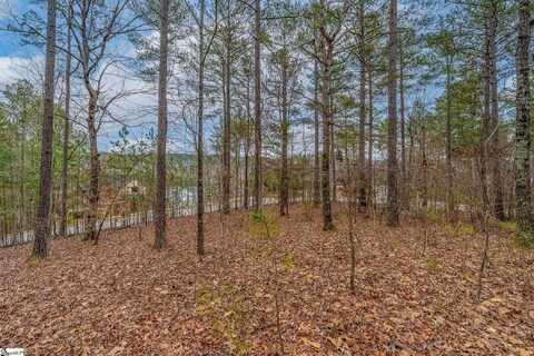335 Long Cove Trail, Salem, SC 29676