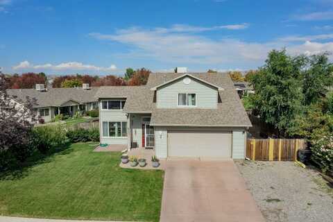 256 Sargent Circle, Fruita, CO 81521