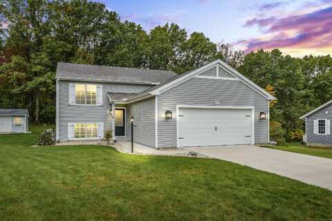 32047 Valewood Lane, Gobles, MI 49055