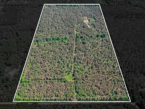 V/L N Webb Road, Hessel, MI 49745