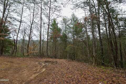Lot 23 Alpine Ridge Way, Sevierville, TN 37876