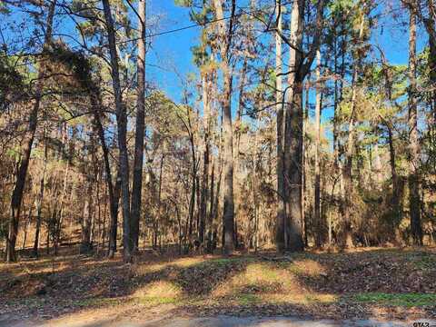 17498 Pintail Dr, Flint, TX 75762