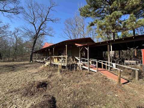15471 Tuscon Oaks Drive, Tyler, TX 75707
