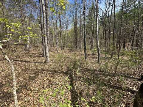 Stonehenge Pkwy, Lewisburg, WV 24901