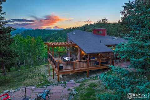 156 Rocky Knob Ln, Nederland, CO 80466