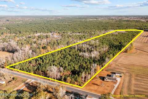 32.02ac Nc 50 Highway, Maple Hill, NC 28454