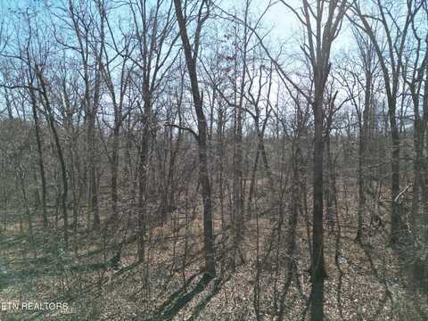 1047 Yucatan Lane, Crossville, TN 38572