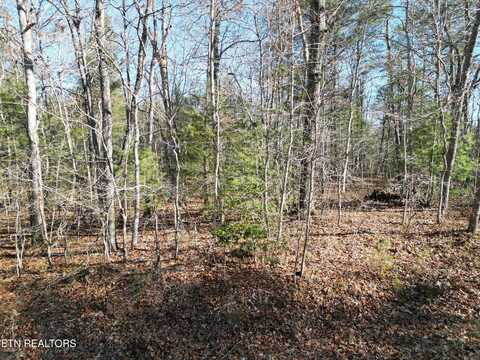 5003 Broken Bow Drive, Crossville, TN 38572
