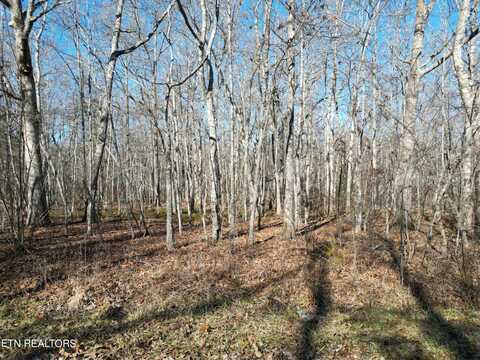 1135 Mohave Drive, Crossville, TN 38572