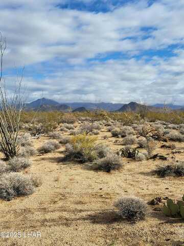 00 S Billy The Kid Rd, Yucca, AZ 86438