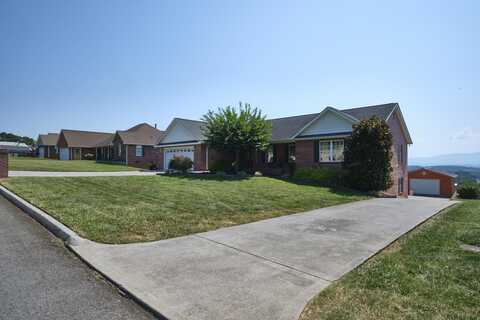 132 Skyline Drive, Dandridge, TN 37725