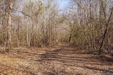 Tbd STEVENS RD, Marietta, TX 75566