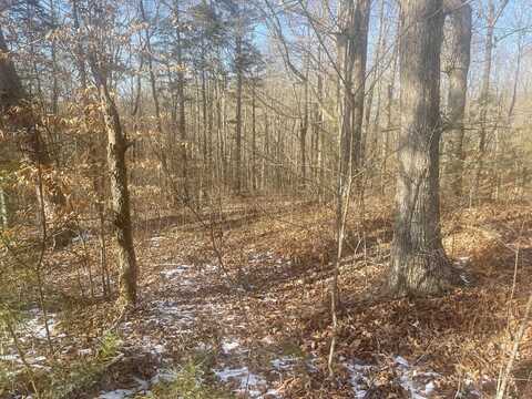 Lot 2 Cumberland Shores, Monticello, KY 42633