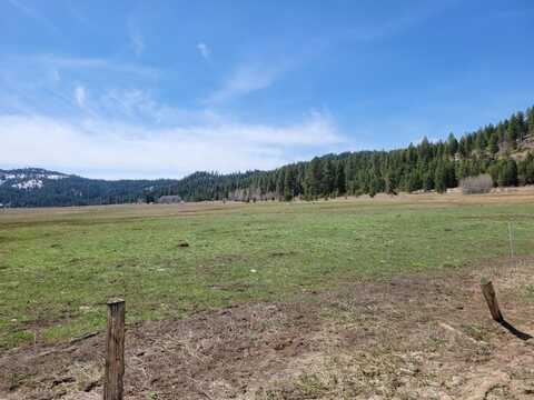 TBD Gray Lane, Cascade, ID 83611