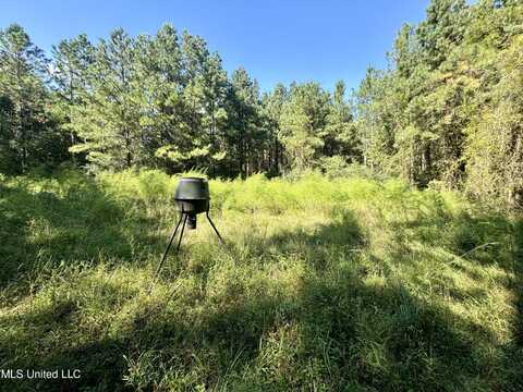 Flat Top Road Road, Picayune, MS 39466