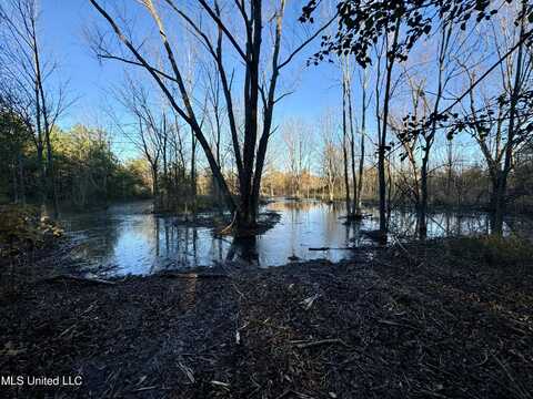 Quitman Street, Sledge, MS 38670