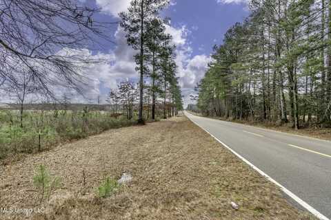 239 Harrell Road, Pelahatchie, MS 39145