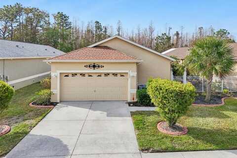 21042 DIAMONTE DRIVE, LAND O LAKES, FL 34637