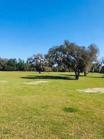 NW 145TH-WESTFIELD-LOT 2, MORRISTON, FL 32668