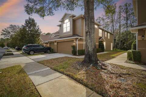18924 DUQUESNE DRIVE, TAMPA, FL 33647