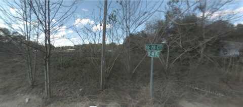 UNDETERMINED, SUMMERFIELD, FL 34491