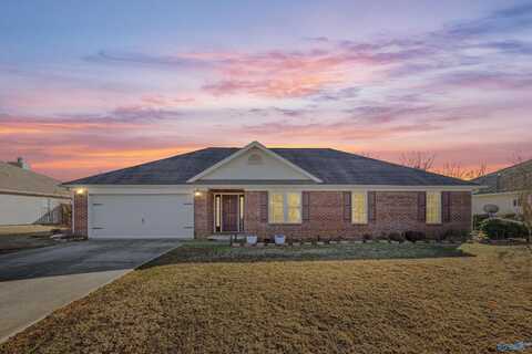114 Old Eli Road, Toney, AL 35773