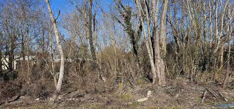 1 +/- Acre Alabama Highway 227, Geraldine, AL 35974