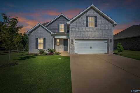 300 Kendall Downs Boulevard, Toney, AL 35773