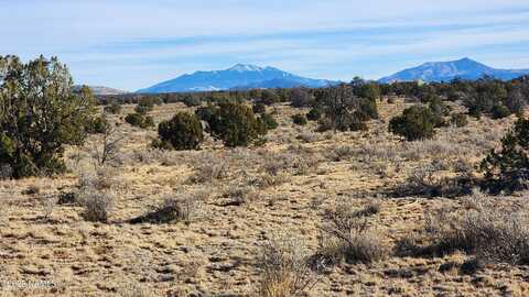 4854 Mohave Trail, Williams, AZ 86046
