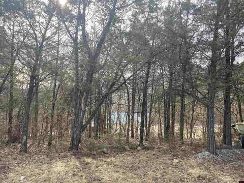 009-00160-000 W PIPER LANE, Salesville, AR 72653