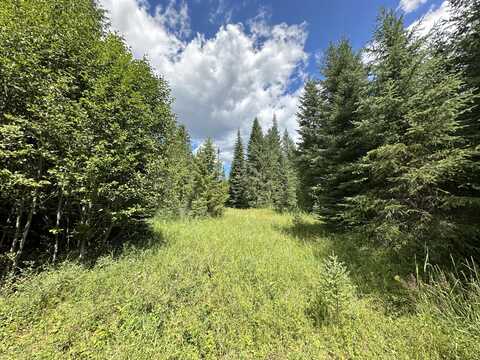 3331 DEEP LAKE BOUNDARY RD, COLVILLE, WA 99114