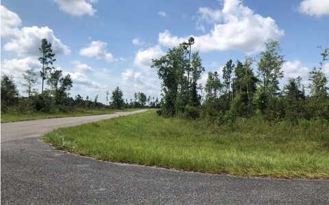 LOT58 82ND TRAIL, Live Oak, FL 32060