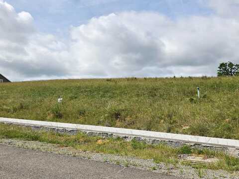 5249 Country Meadow Drive, Dublin, VA 24084